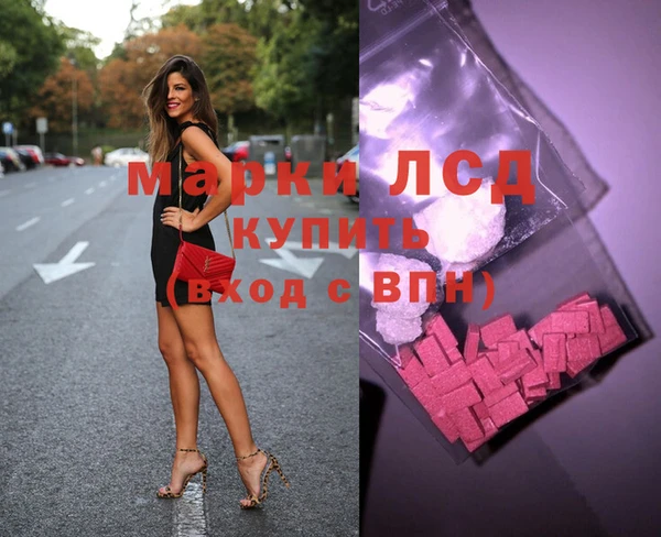 прущие грибы Белокуриха