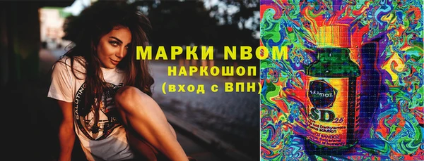 прущие грибы Белокуриха