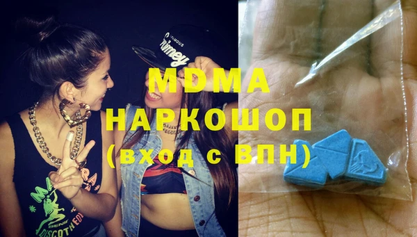 дмт Богданович