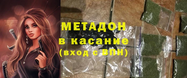 прущие грибы Белокуриха