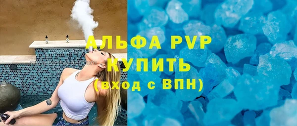 дмт Богданович