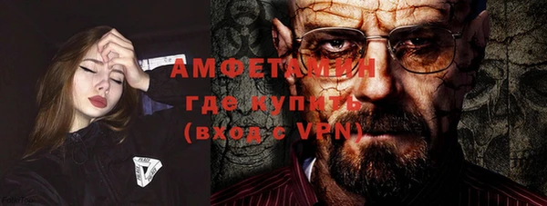 дмт Богданович