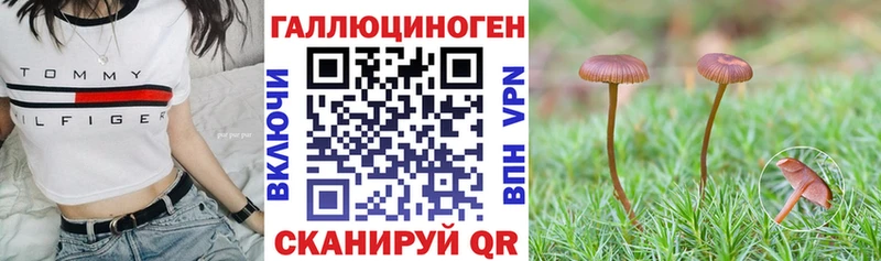 Псилоцибиновые грибы GOLDEN TEACHER  ОМГ ОМГ онион  Богородск 